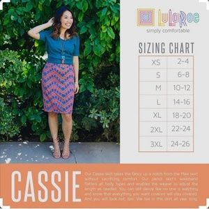 Lularoe skirt